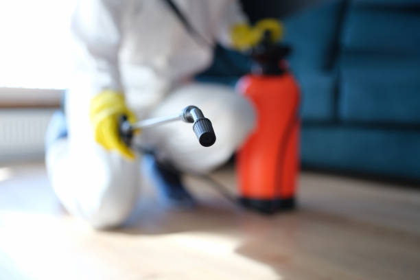 Best Asbestos and Lead Testing During Mold Inspection  in David City, NE